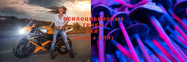 молекула духа Армянск