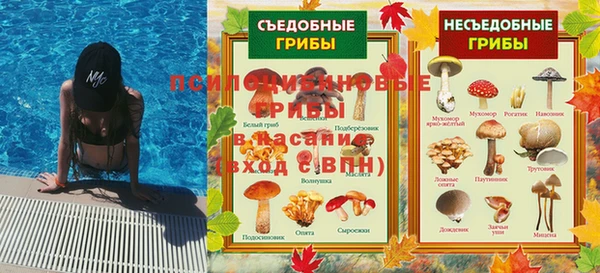 молекула духа Армянск